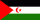Landesflagge Westsahara