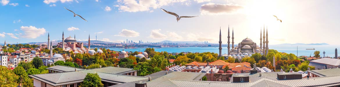 Blick über Istanbul
