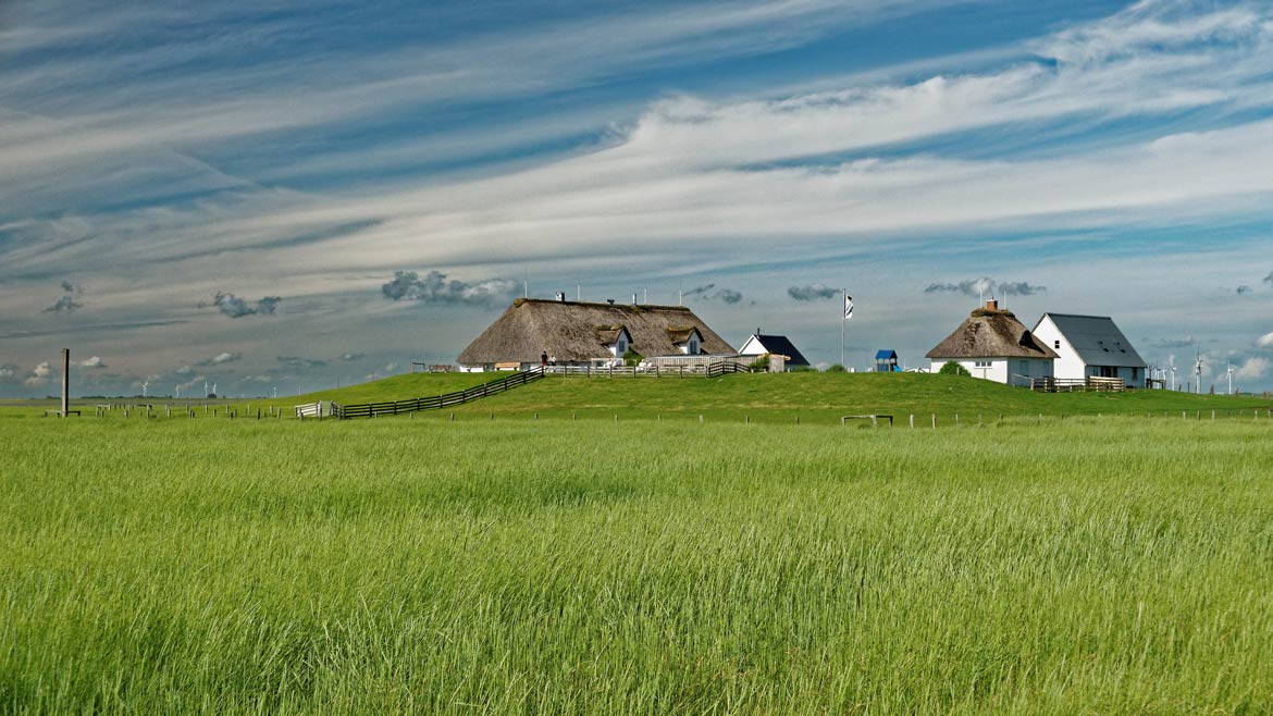 Hamburger Hallig Hamburger Hallig