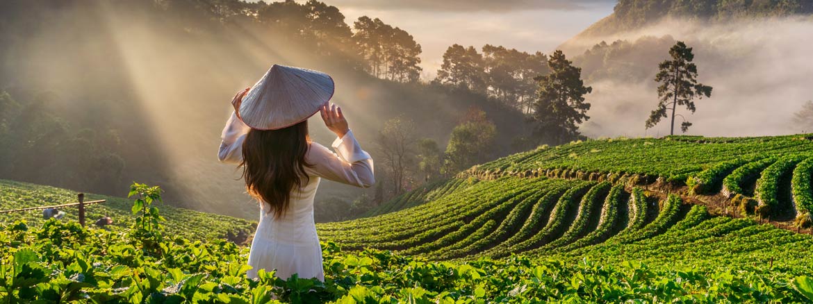 Vietnam entdecken: Tempel, Traumstrände und Traditionen