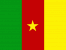 Landesflagge Kamerun